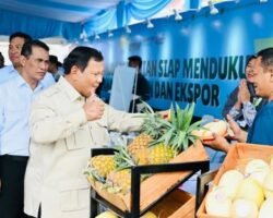 Presiden Prabowo Tinjau Hilirisasi dan Teknologi Pertanian Modern pada Panen Raya di Karawang