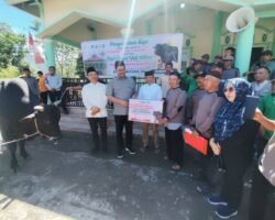 BUPATI OKU SELATAN SERAHKAN SAPI BANTUAN PRESIDEN RI SEBERAT 1 TON DI PULAU BERINGIN